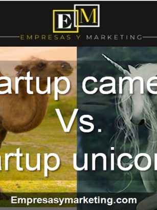 Diferencia entre startup camello y startup unicornio empresas