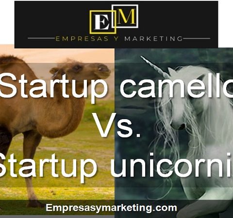 Diferencia entre startup camello y startup unicornio empresas